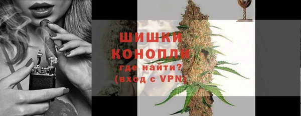 соль ск Медногорск