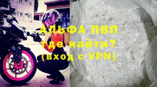 шишки Магас