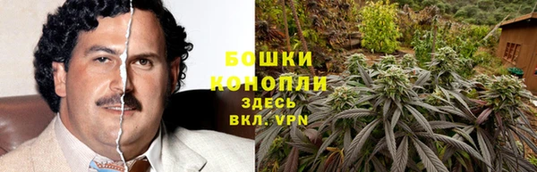 МДПВ Медвежьегорск