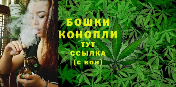 МДПВ Медвежьегорск