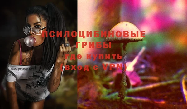 МДПВ Медвежьегорск
