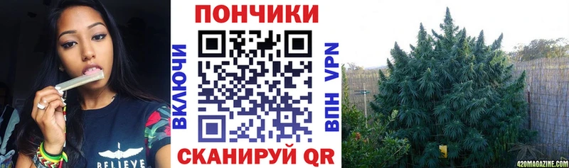 Конопля OG Kush  купить   Шахунья 